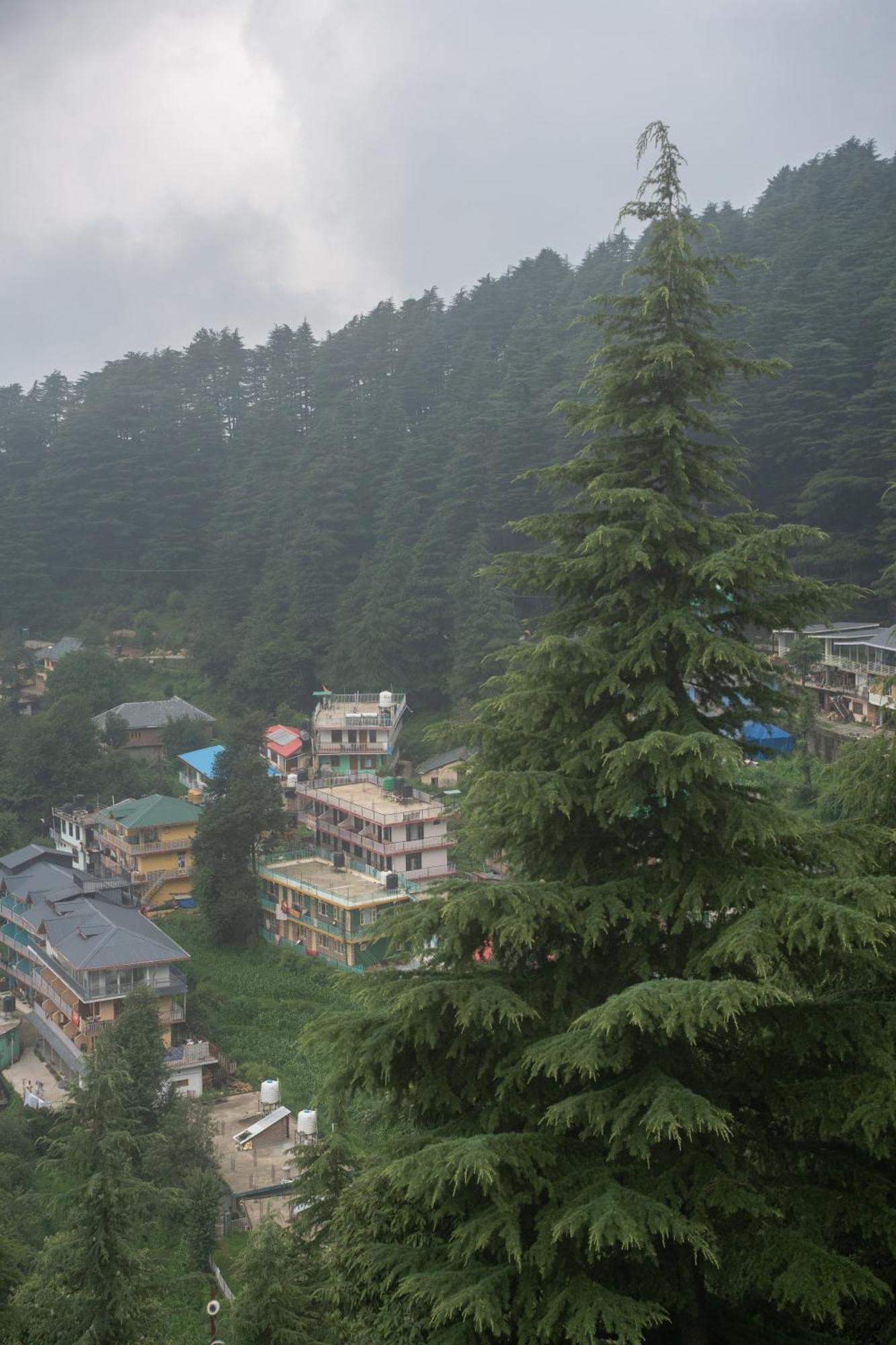 The Unmad - Dharamkot Bed & Breakfast Dharamshala Exterior photo